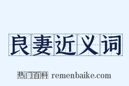良妻近义词是什么意思的图片